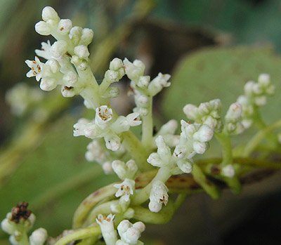 �l�i�V�J�Y��