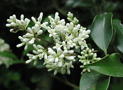 �l�Y�~���`