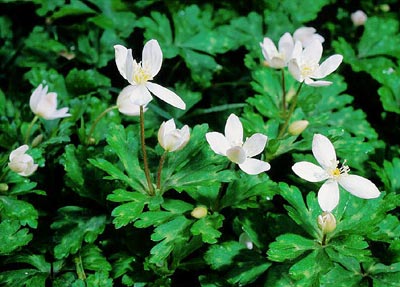 �j�����\�E