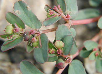 �j�V�L�\�E