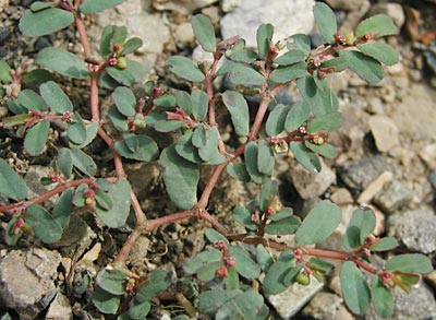 �j�V�L�\�E