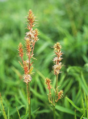 �m�M����