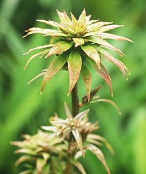 �m�M�����P