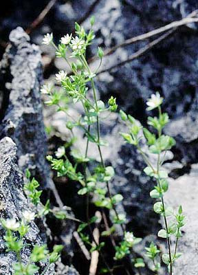 �m�~�m�c�d��