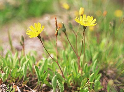 �I�I�W�V�o��