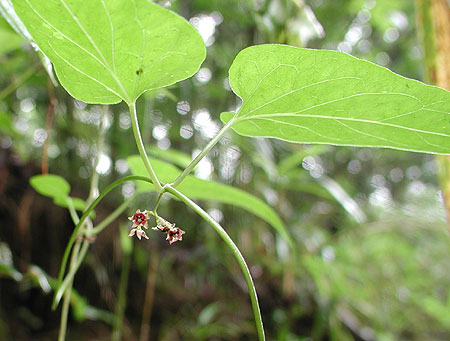 �I�I�J�����d��