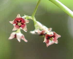 �I�I�J�����d��