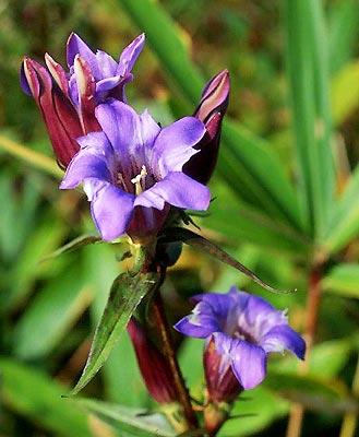 �����h�E