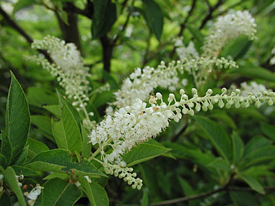 �����E�u