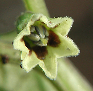 �Z���i���z�I�Y�L