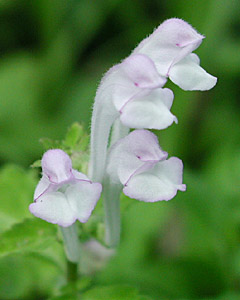 �V�\�o�^�c�i�~�\�E