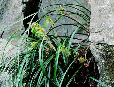 �V��������