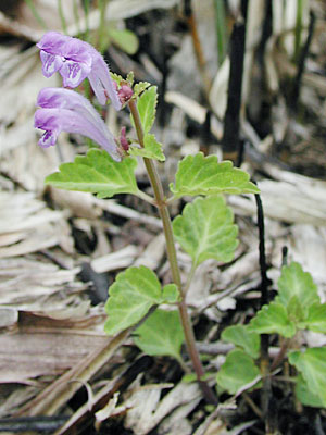 �V�\�o�^�c�i�~�\�E