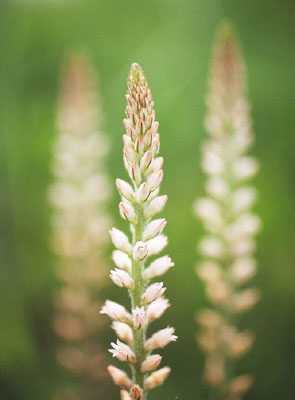 �\�N�V������