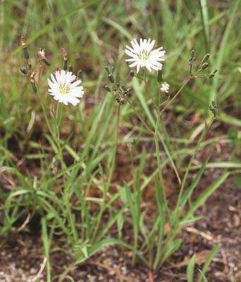 �^�J�T�S�\�E