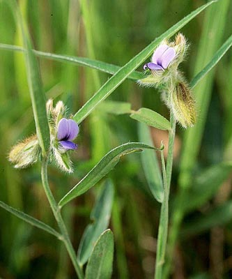 �^�k�L�}��