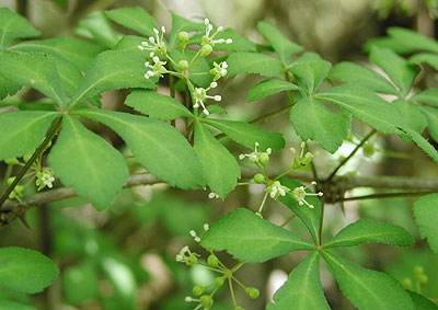 �E���Q�E�R�M