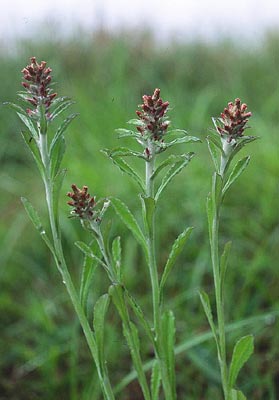 �E�X�x�j�`�`�R�O�T