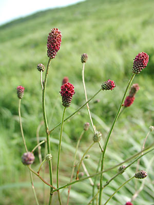 �������R�E