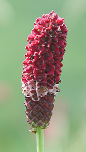 �������R�E