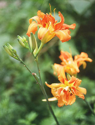 ���u�J���]�E