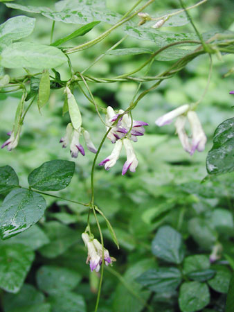 ���u�}��