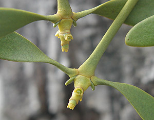 ���h���M����