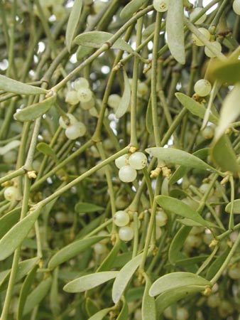 ���h���M�ʎ�