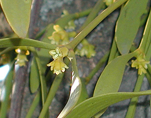 ���h���M�Y��