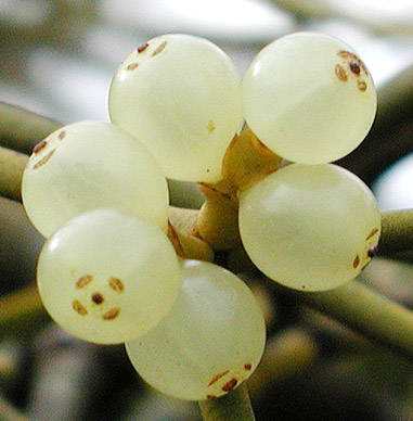 ���h���M�ʎ�