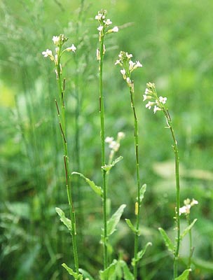 ���}�n�^�U�I