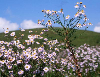 ���}�W�m�M�N