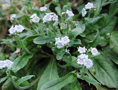 ���}�����\�E