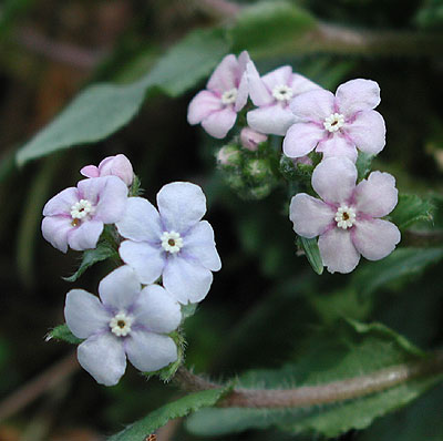 ���}�����\�E