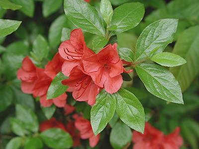 ���}�c�c�W