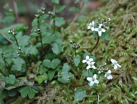 �������T�r