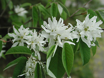 �U�C�t���{�N